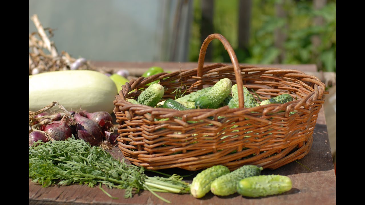 The Pickle Patch
