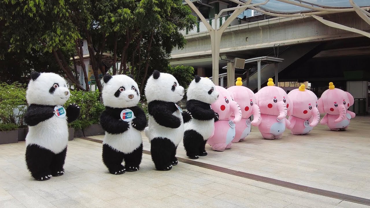 【4K THAILAND】Dancing Pandas Are Back With Elephant Friends | Parade Through EM District Bangkok