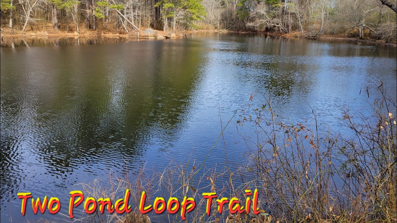 Williamsom Preserve, Raleigh N.C. 02/12/2026