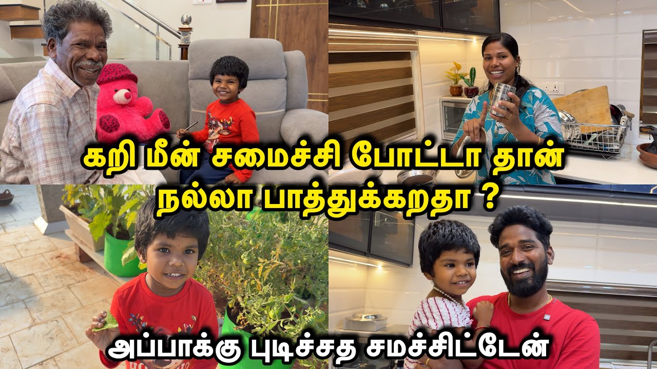 கறி மீன் சமைச்சி போட்டா தான் நல்லா பாத்துக்கறதா ? 😳Sangeetha Vinoth | #tamilvlog