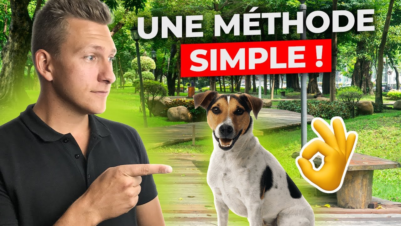 2 exercices Faciles pour apprendre le RAPPEL &agrave; ton chien ! M&eacute;thode Simple !