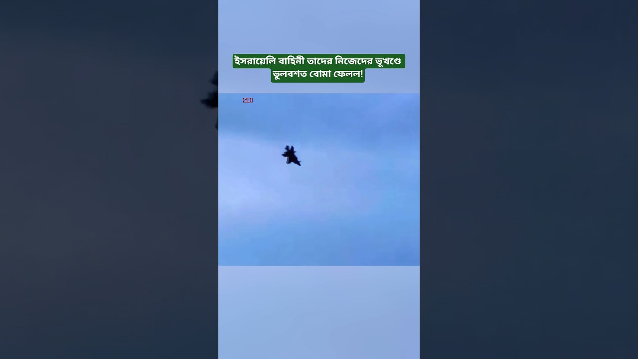 Israeli Forces Accidentally Drop Bomb in Their Own Territory?