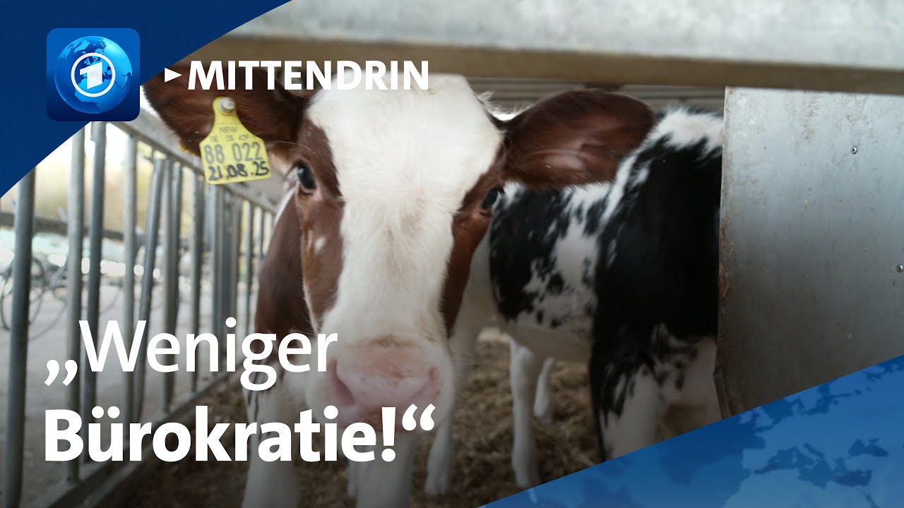 M&uuml;nster: Milchbauer fordert B&uuml;rokratieabbau | tagesthemen mittendrin