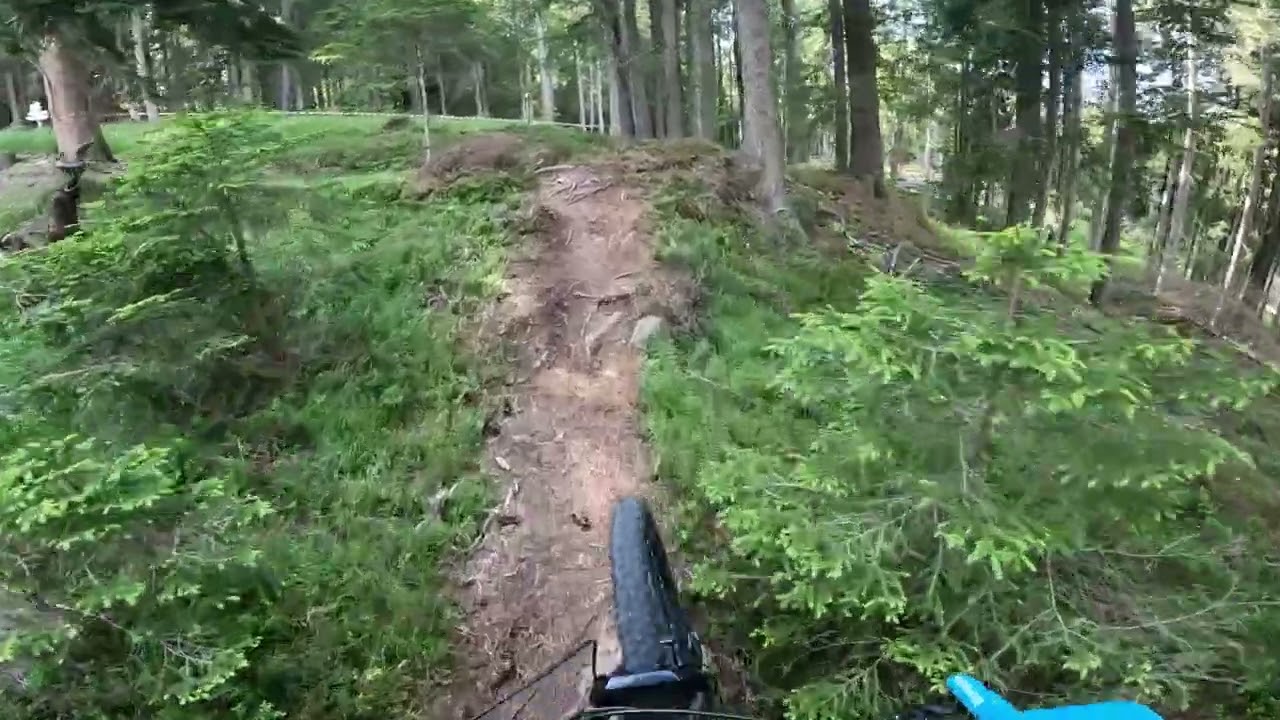 Soraga - Tamion, il sentiero perfetto per E-Bike