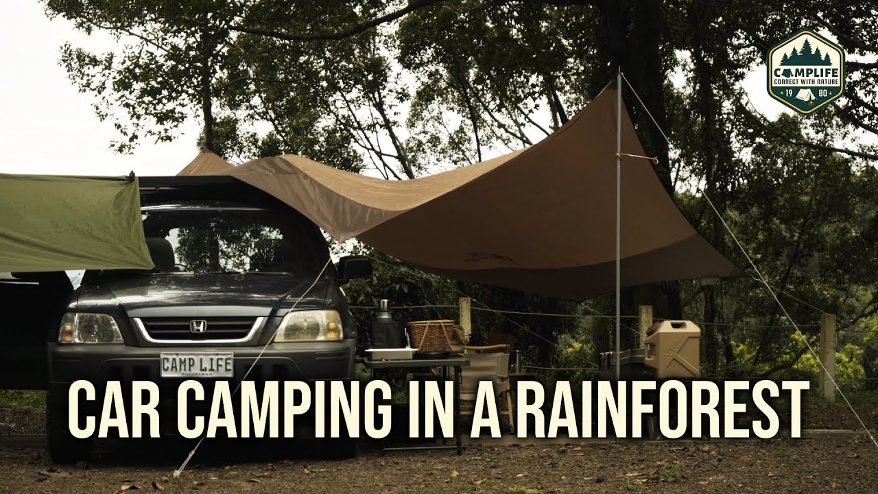 ASMR | CAR Camping in a RAINFOREST with my Honda CRV | SLEPT in the CAR?