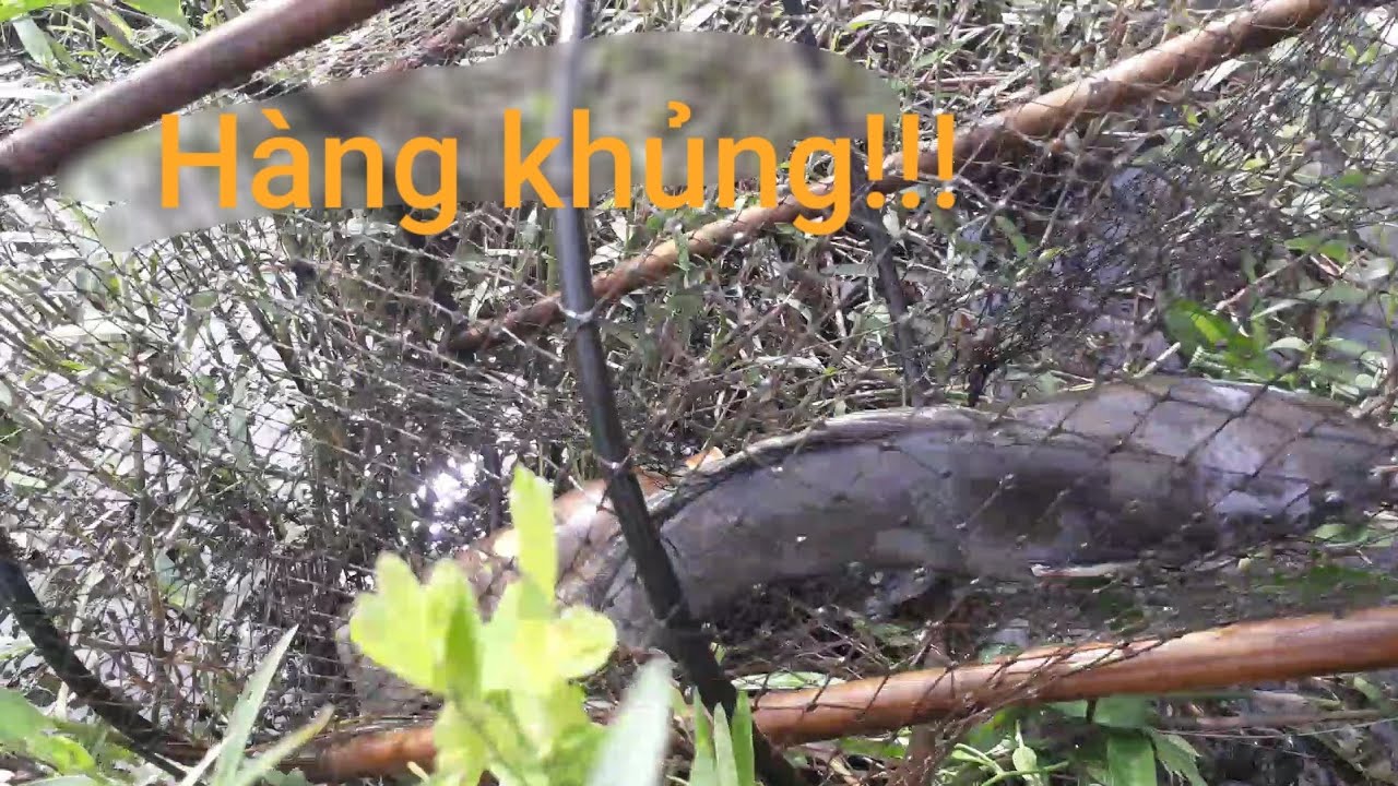 Vlog 15| Dính hàng khủng rồi cả nhà ơi!!!