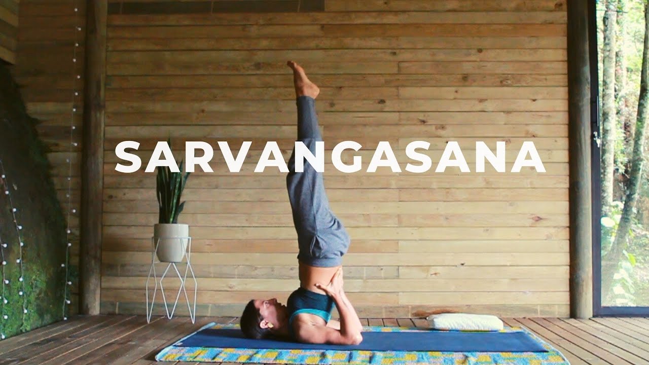 Paso a paso para Sarvangasana - paro de hombros.