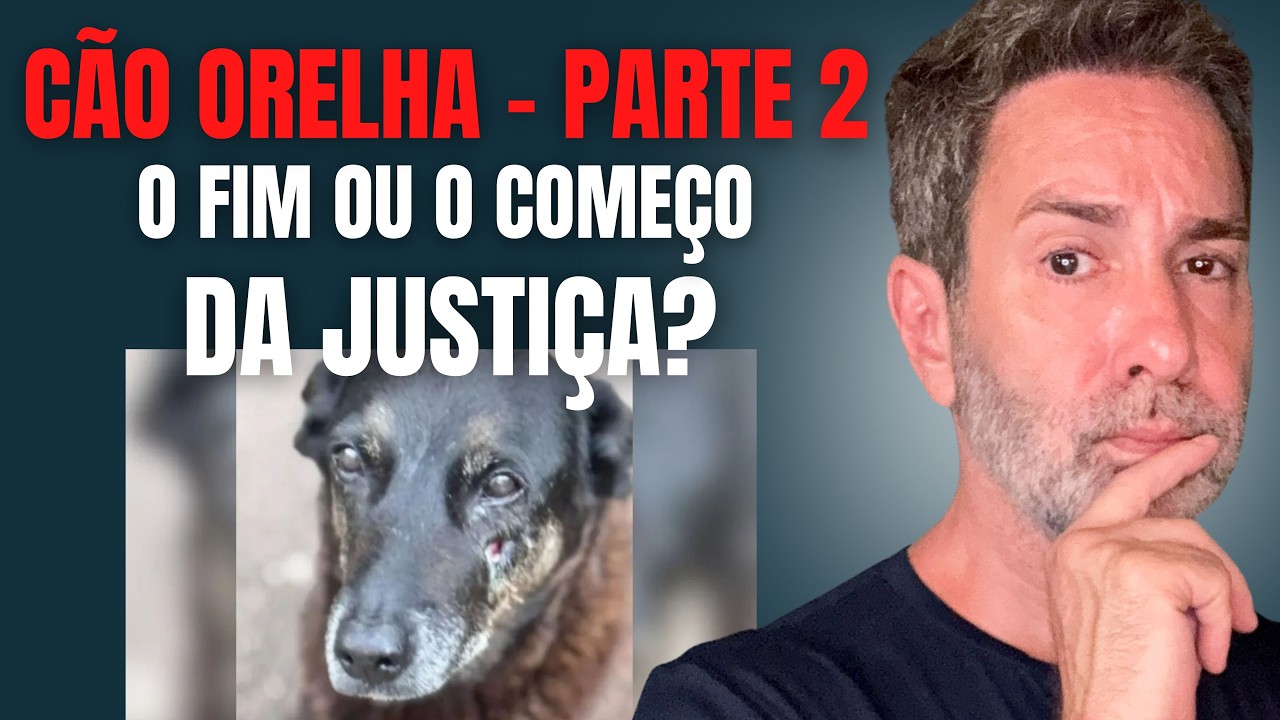 CÃO ORELHA - ADOLESCENTE MATOU SOZINHO O CACHORRO? E O CARAMELO, QUEM AFOGOU? E OS ADULTOS? PARTE 2