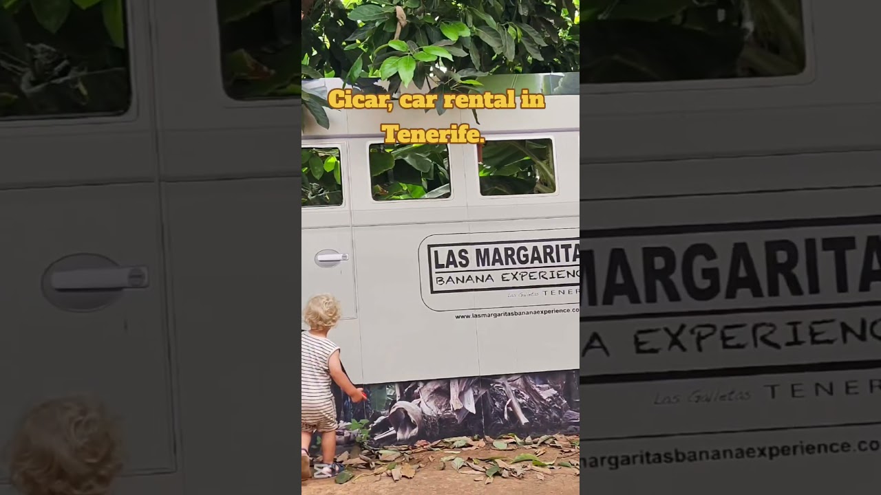 Best car rental in Tenerife, Cicar. #cicar #tenerife #tenerifeisland #rentalcar #canaryislands