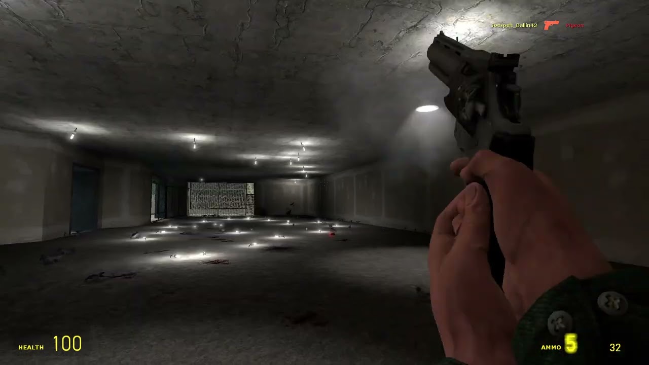 Pigeon.mp4