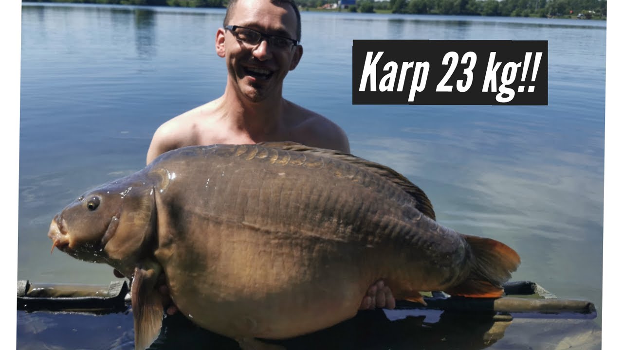 Karp 23 kg nowe PB i piękne duże karpie