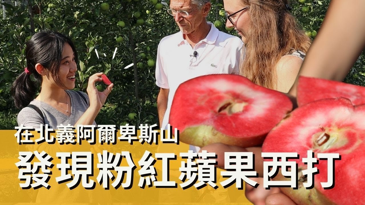 你喝過粉紅蘋果西打嗎？在阿爾卑斯山上的一日蘋果農體驗 ! #花見蘋果酒