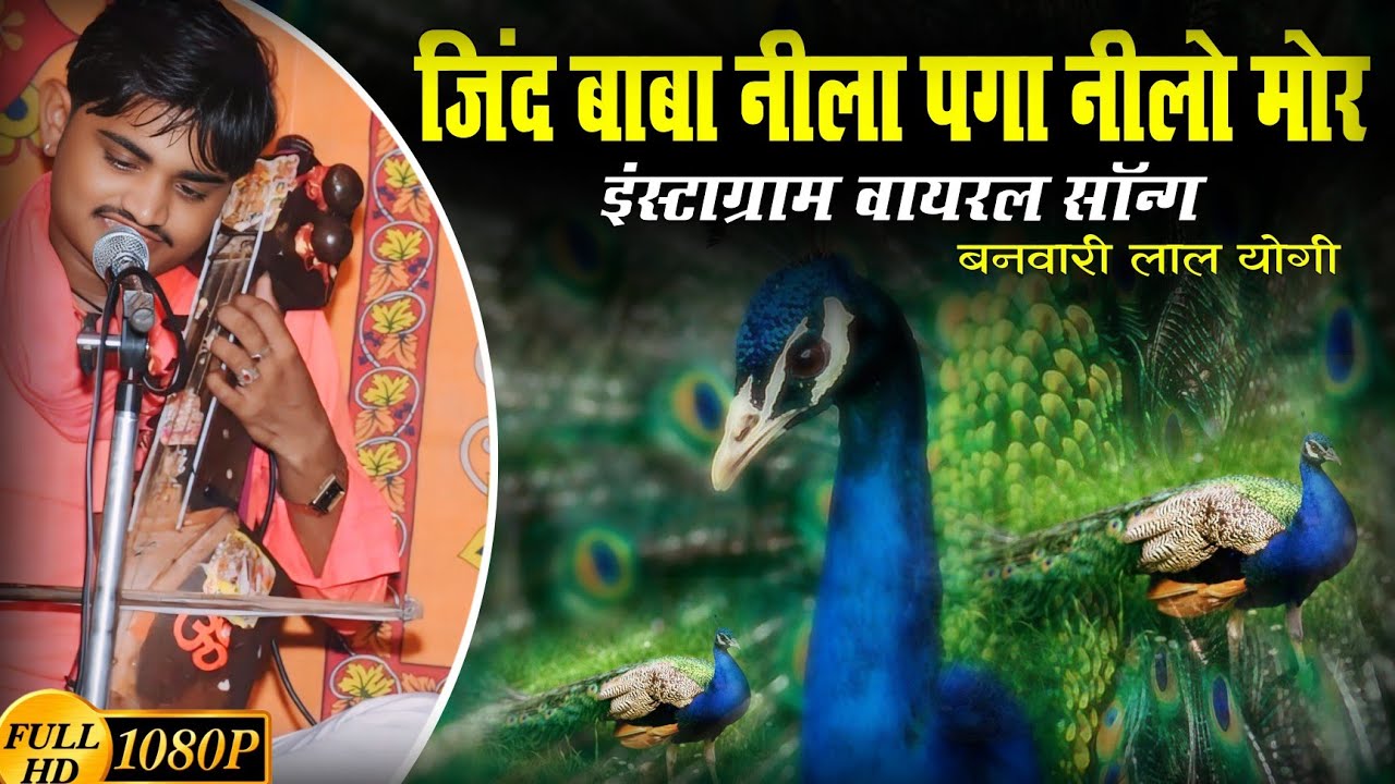 Jind Baba Neela Paga Ko Neelo Mor HD | जिंद बाबा महू महल दरबार भजन  सिंगर बनवारी योगी की आवाज में