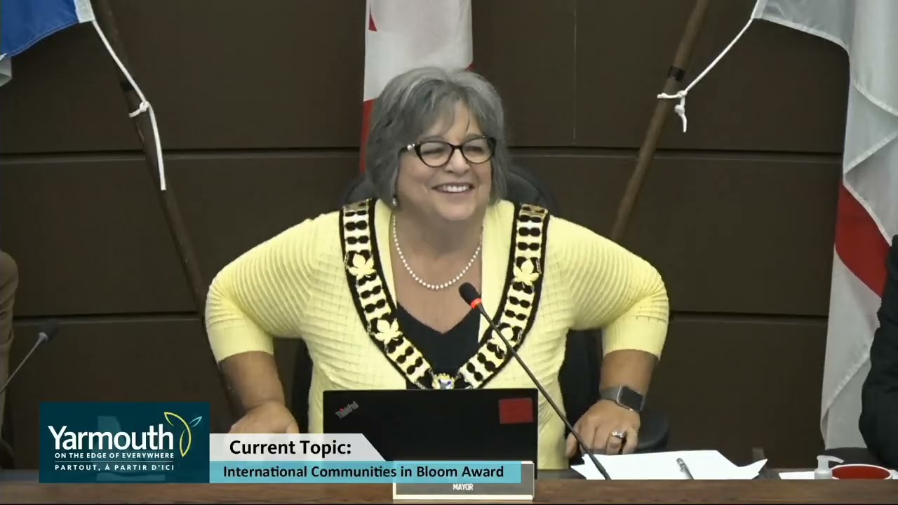 Town Council Meeting - November 13th, 2026