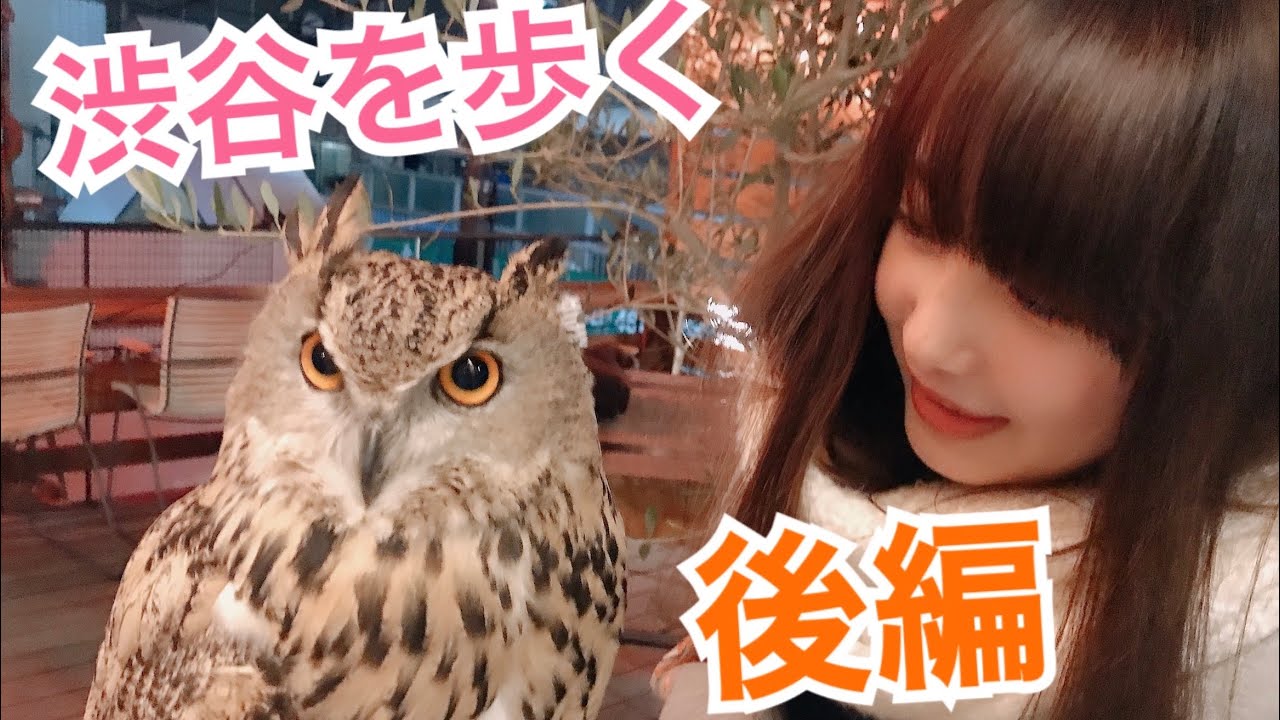 【トルちゃんお散歩 後編】初散歩動画後編！フクロウと一緒に渋谷を歩く！