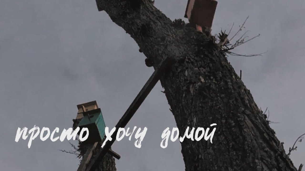 ssshhhiiittt! - домой (Lyric Video)