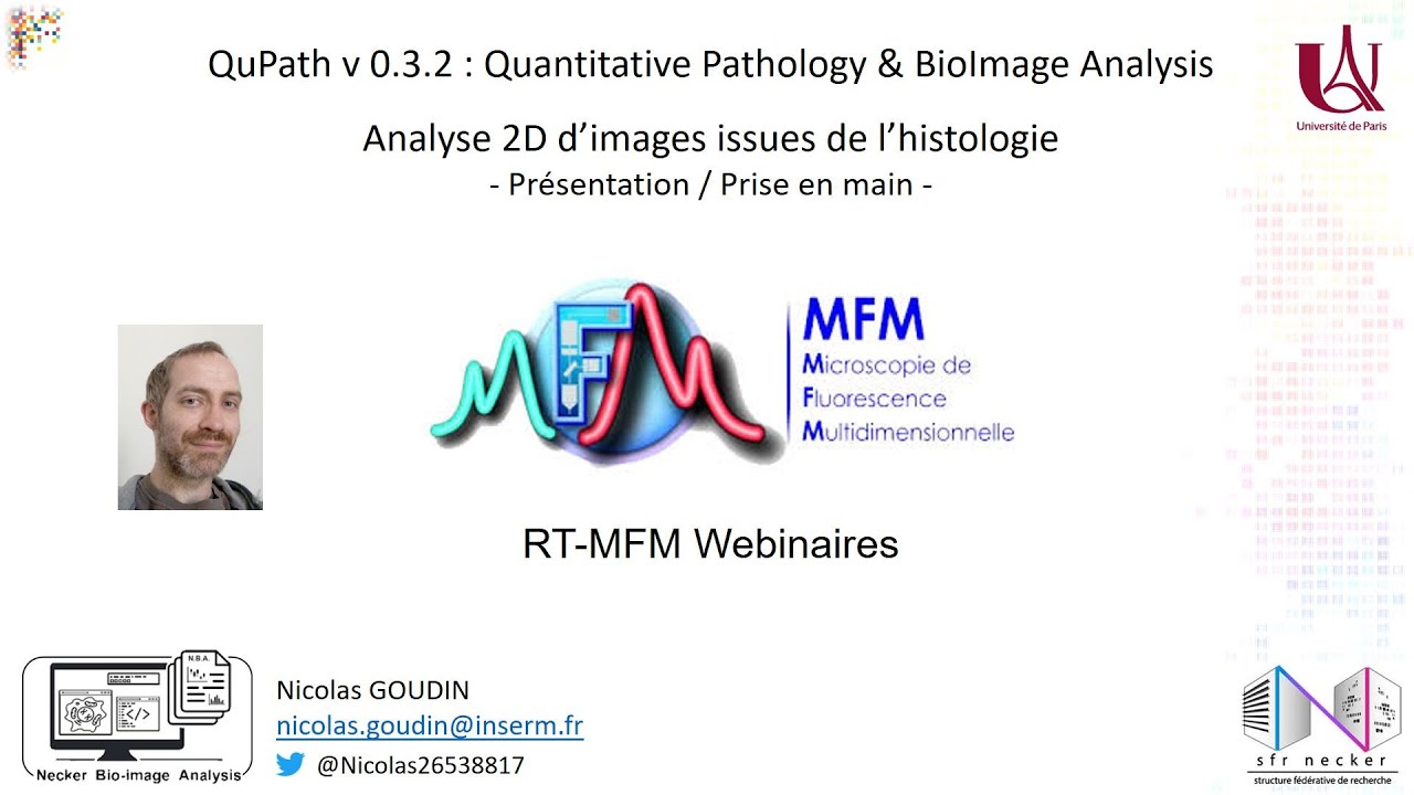 QuPath v 0.3.2 : Quantitative Pathology & BioImage Analysis