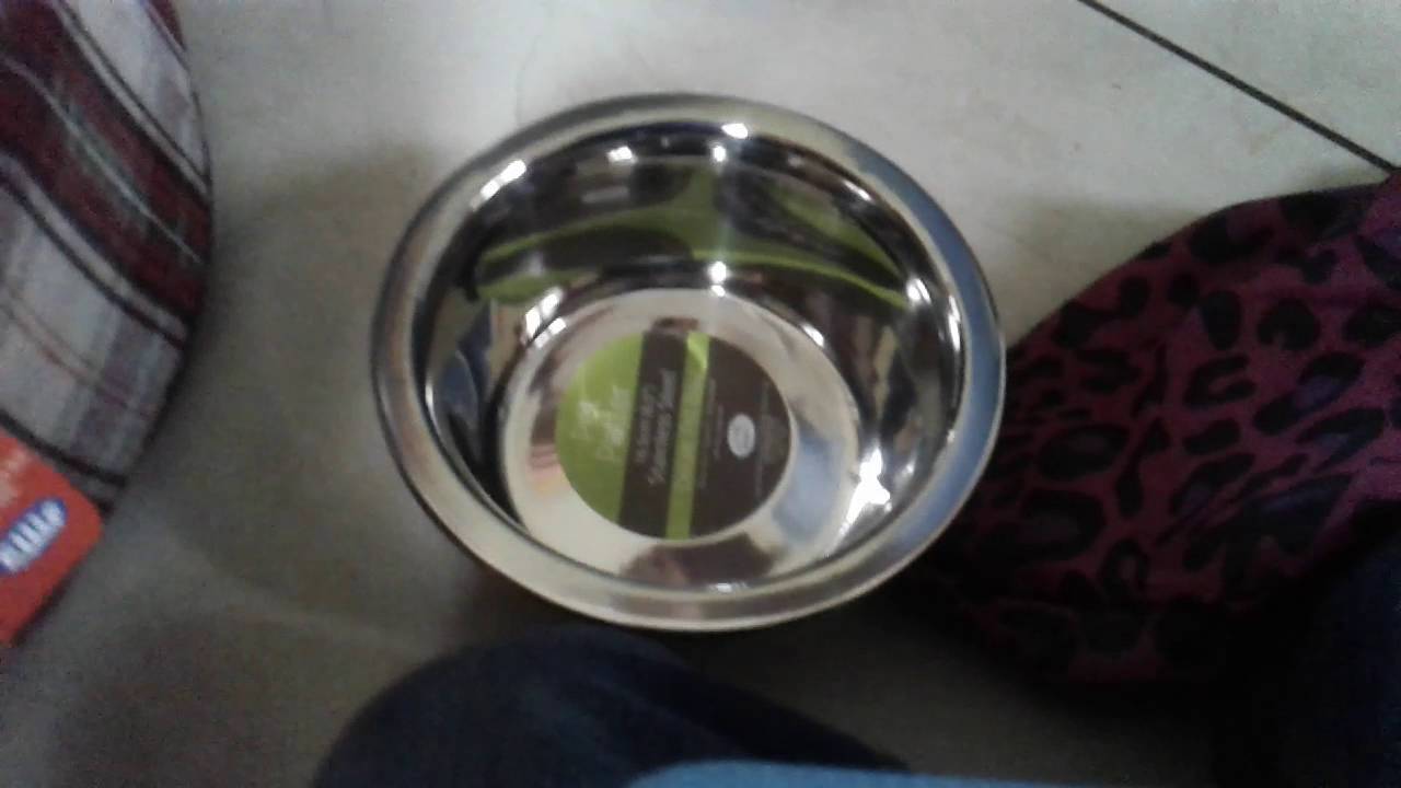 Puppytube ep 3 new toys