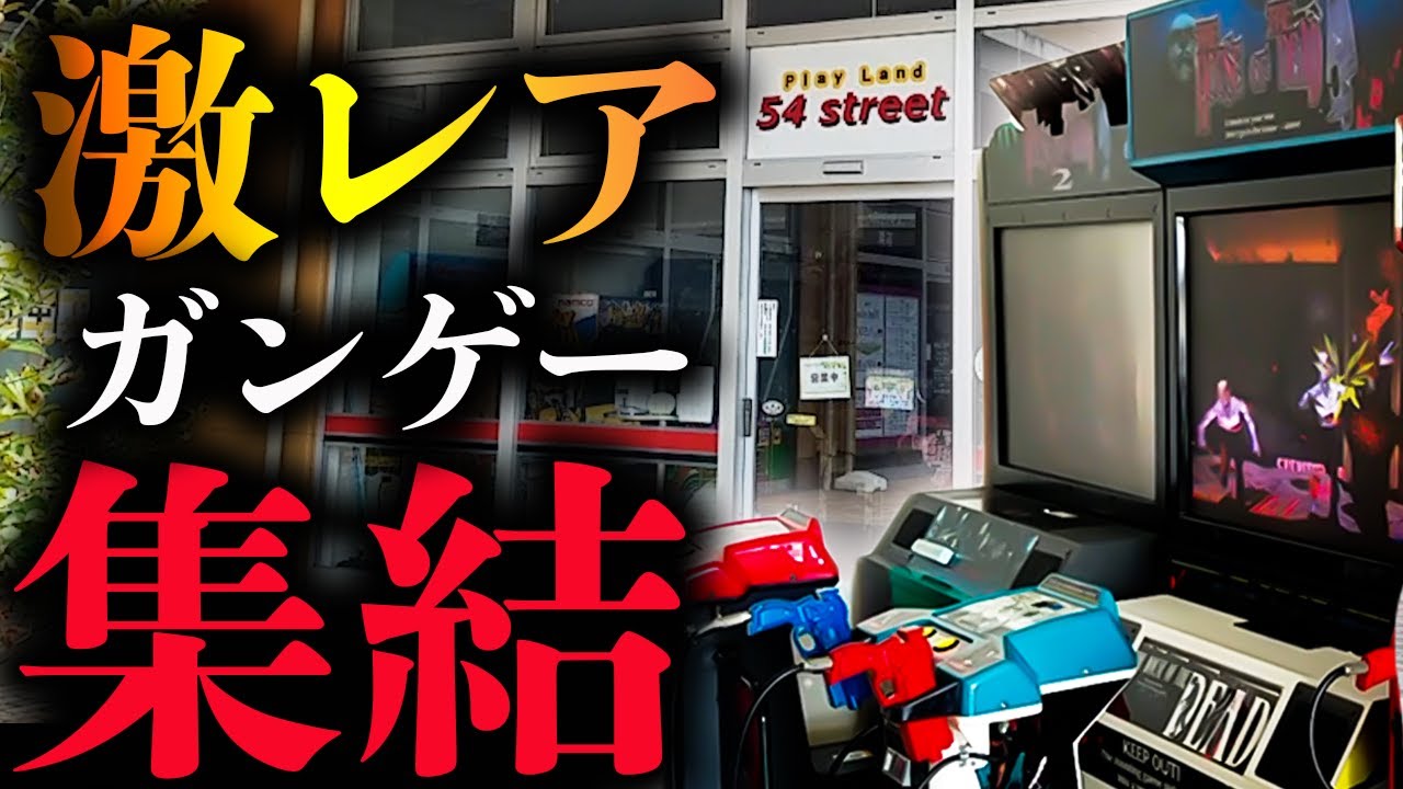 懐かしいガンゲーが揃うゲーセン【Play Land 54 street 結城店】