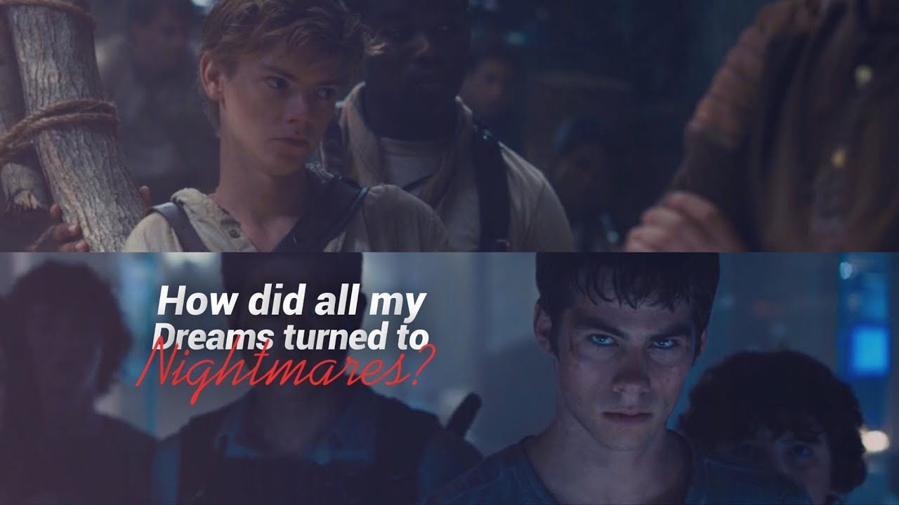 Home »The Maze Runner