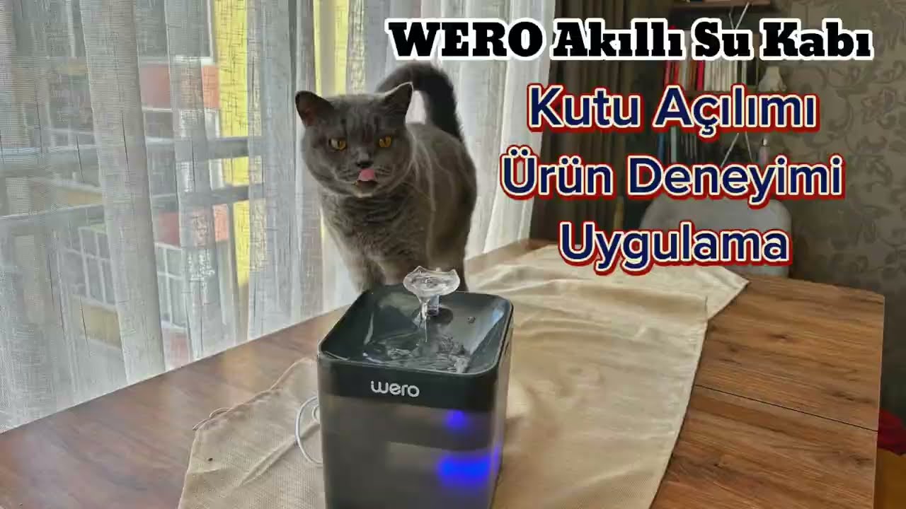 #WERO Akıllı Kedi - Köpek Su Kabı 😻🐶 | Kutu Açılımı | Uzun Deneyim | Uygulama Kurulumu