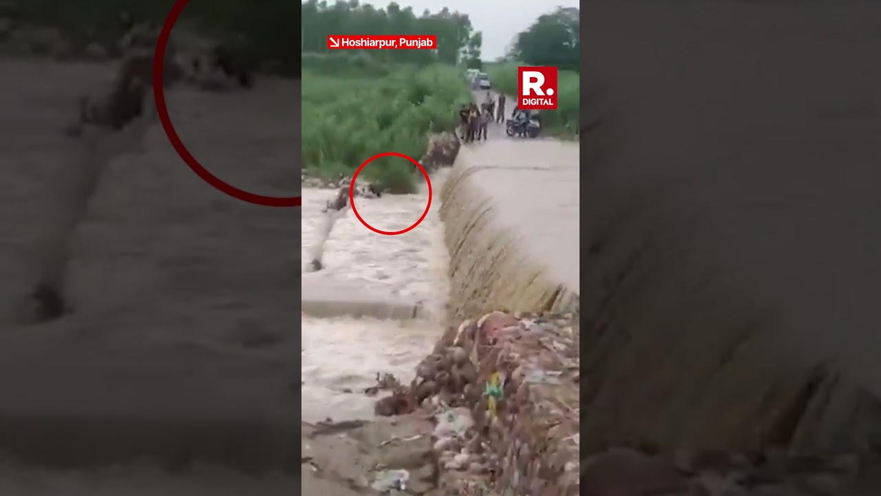 Punjab Flood Horror: Two Swept Away While Crossing Flooded Road in Hoshiarpur