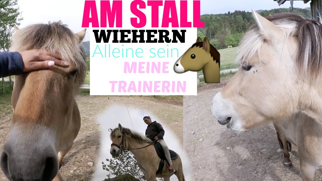 AM STALL I FAUNITAS TRAINERIN KOMMT UND REITET