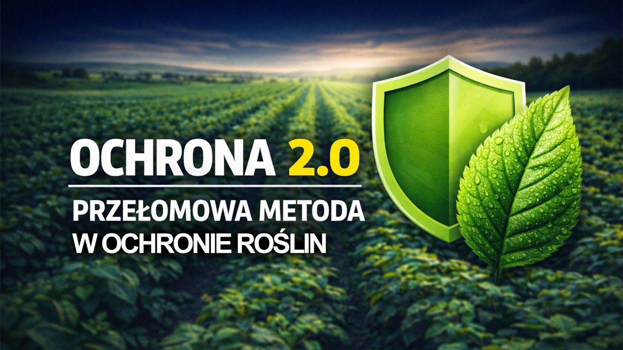 Ochrona 4 w 1. Przełomowa metoda ochrony roślin