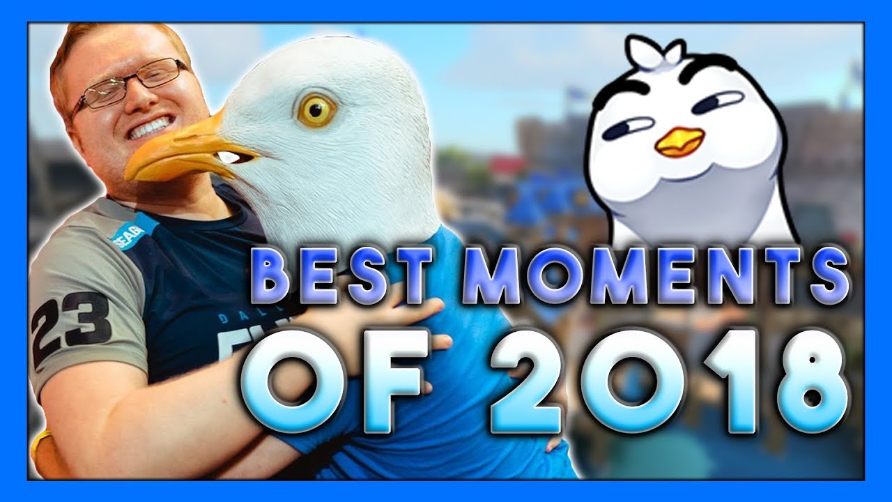 Seagull's Best Stream Moments of 2018