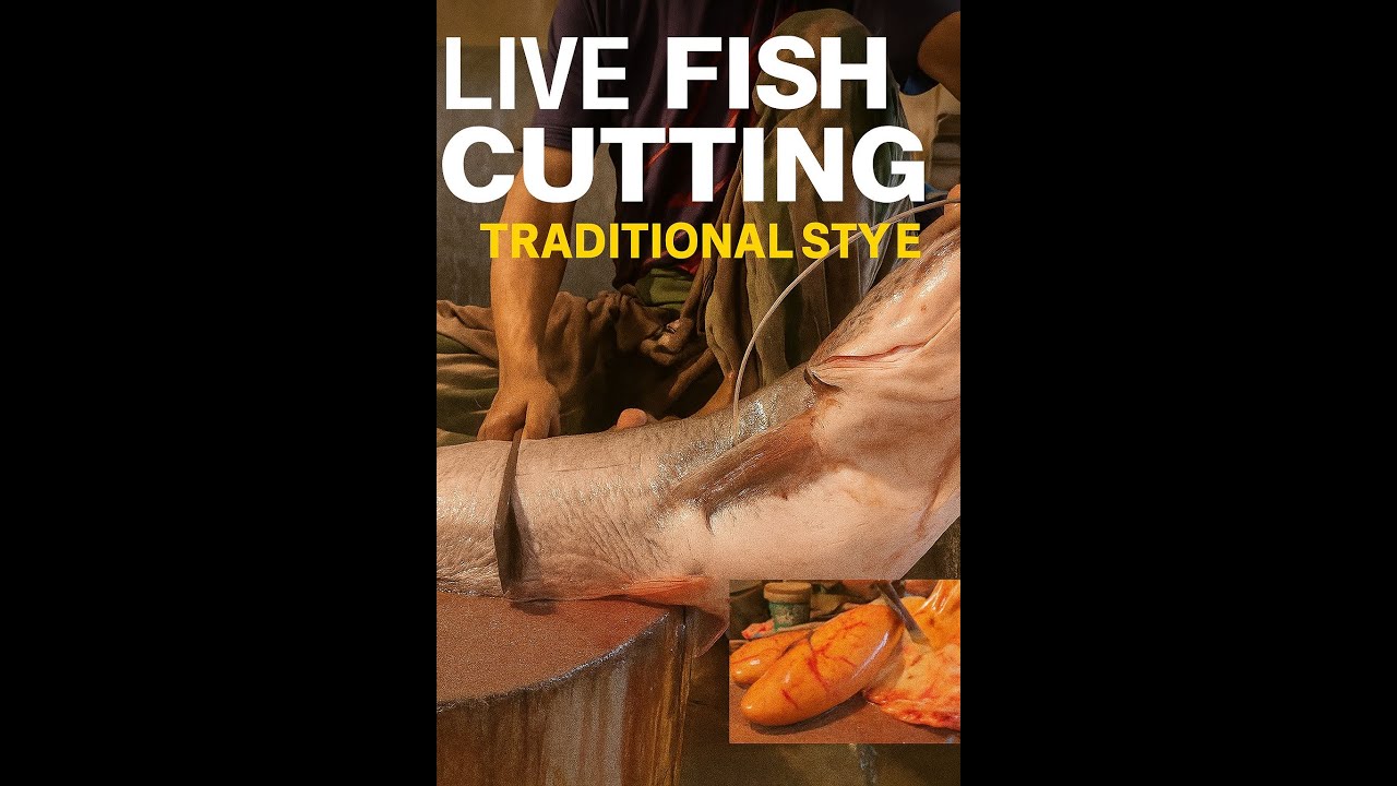 Live Fish Cutting Show 🎥 | Traditional Style