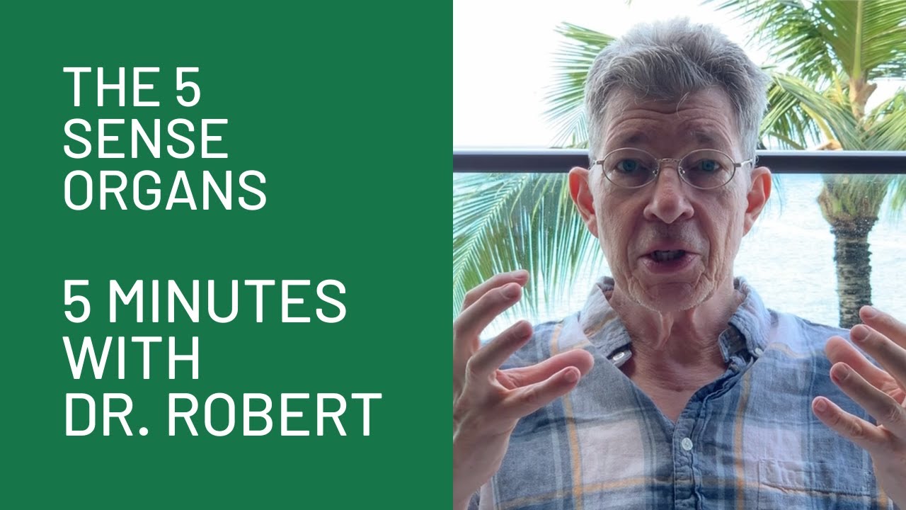 The 5 Sense Organs: 5 Minutes with Robert
