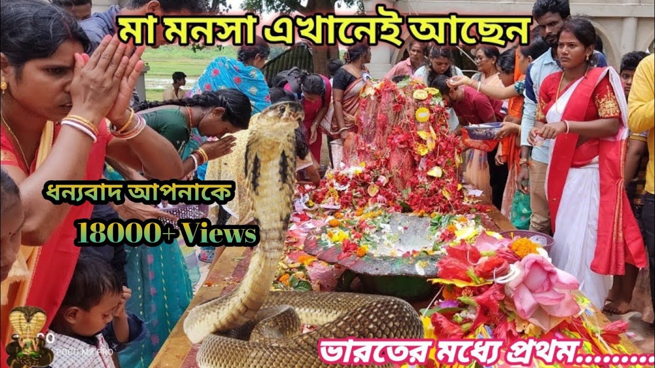 মাদপুরের ঐতিহাসিক মনসা মন্দির || Madpur Jackpur Historical Manasa Mandir #manasa 🙏