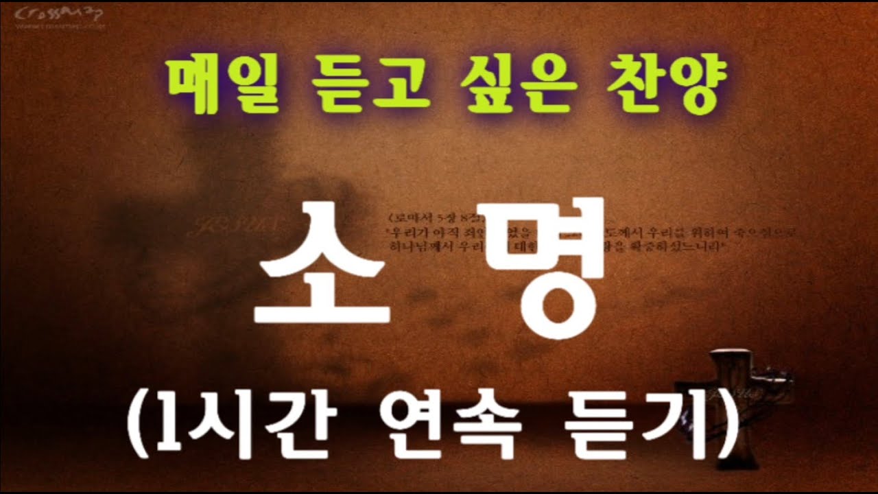 [하늘 시인] 매일 듣고 싶은 찬양 - 1시간 연속 듣기 (소명 - 향기로운 나무)