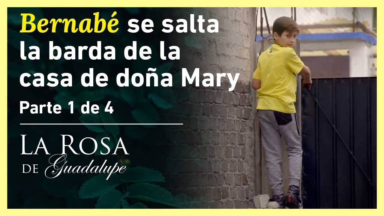 La Rosa de Guadalupe 1/4: Bernabé y sus amigos le tienen miedo a doña Mary Cruz | El amor perdido