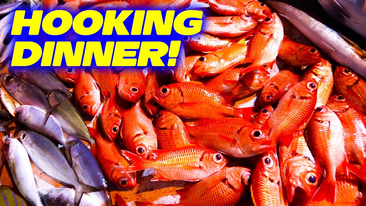WE USED A DISCO LIGHT FOR FISHING AT NIGHT AND IT WORKED LIKE A CHARM!   I MAKE POKE WITH MY CATCH!