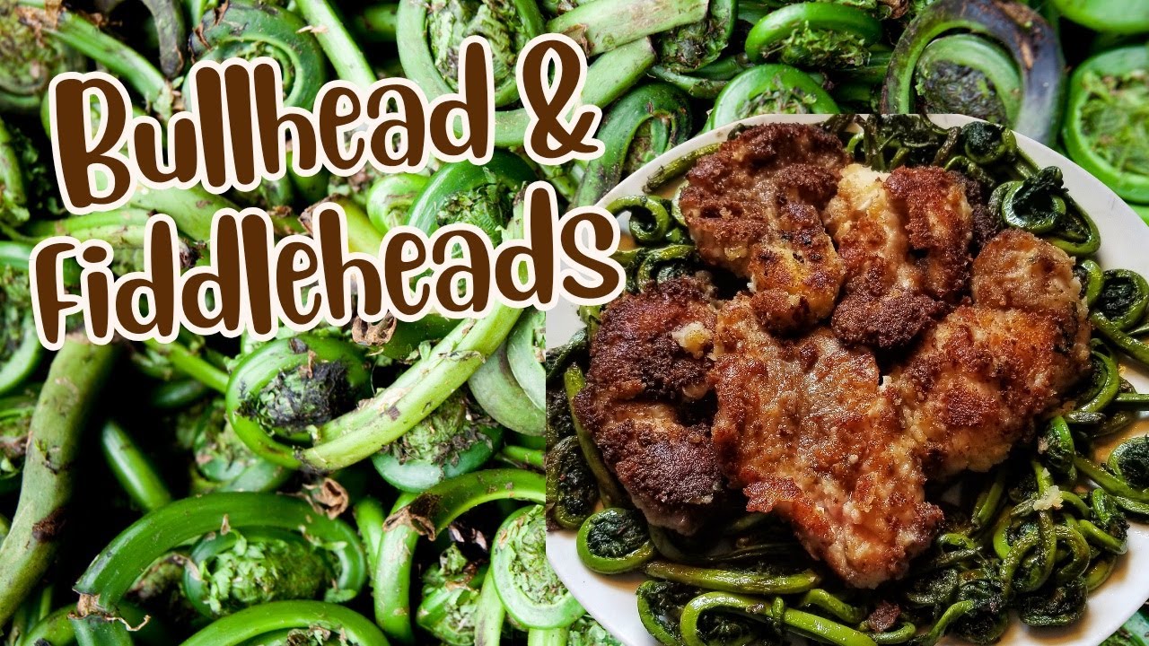 How To Fillet Bullhead Wild Cooking