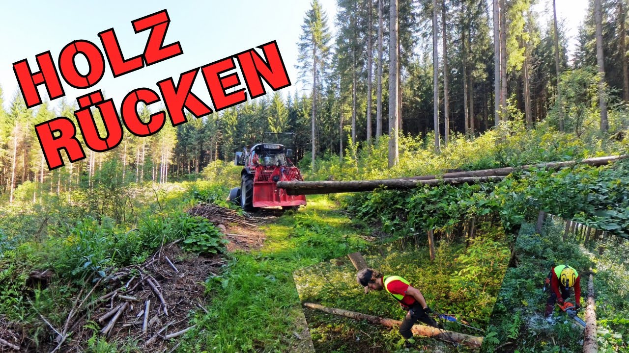 Langholz rücken | Lindner Lintrac 75 LS | Husqvarna 550 XP