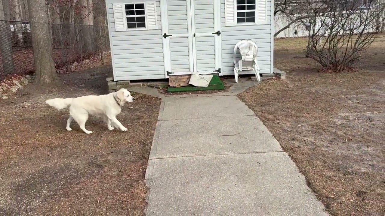 Christmas Playtime 