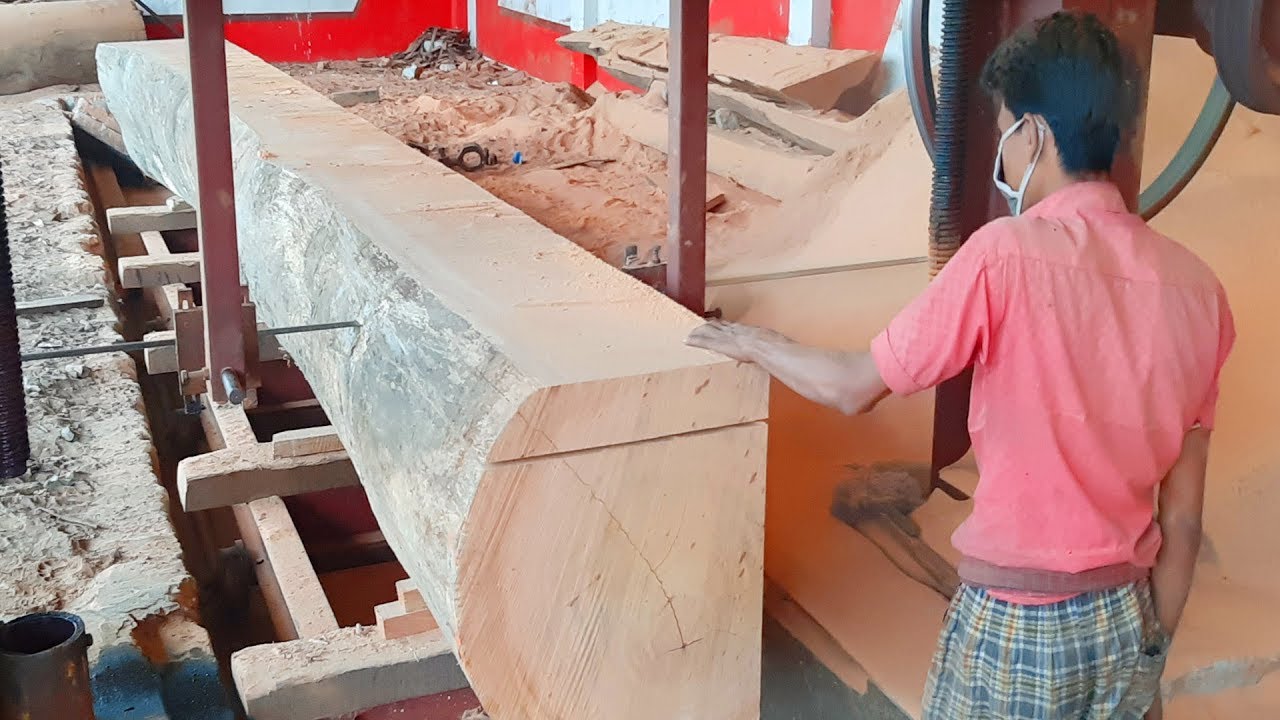 WOOD - Biggest Wood Cutting Sawmill | Heavy Wood Cutting Technique in BD | Woodworking BD