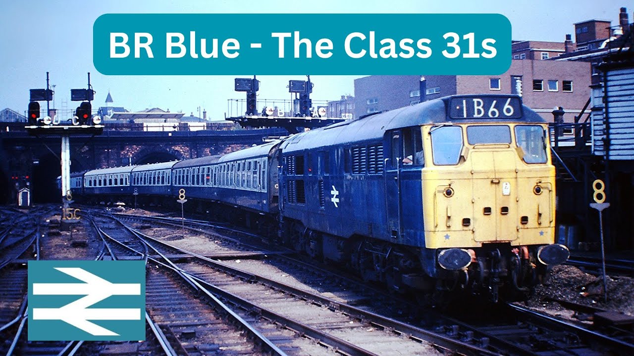 BR Blue - The Class 31s