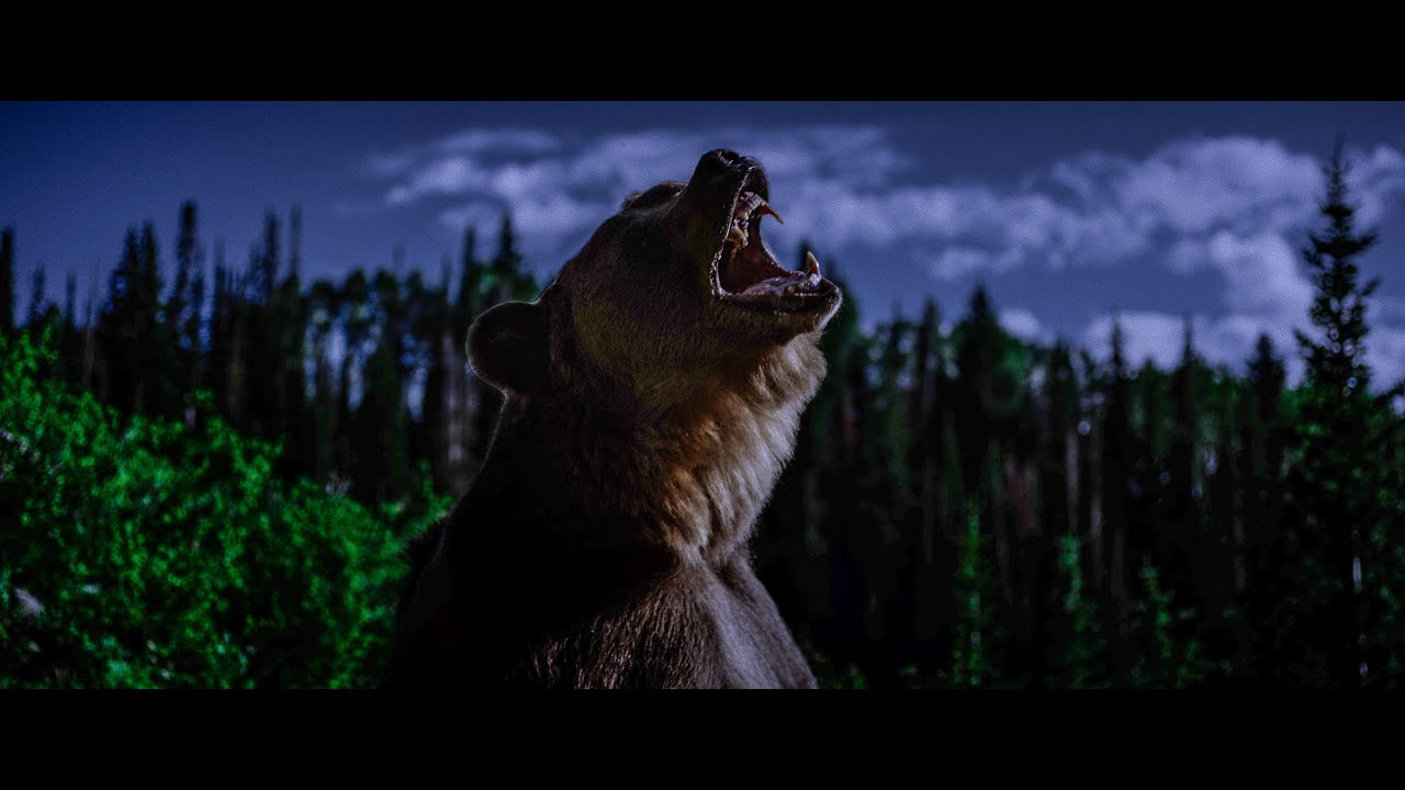 GRIZZLY NIGHT