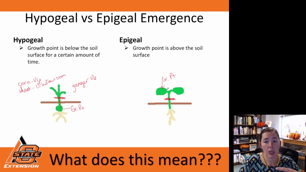 Introductory Plant Science (Agronomy) - Video 1