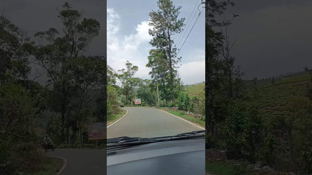 Vagamon Hill Drive #hilldrive #vagamon #driving #tour #car #mountain #cars