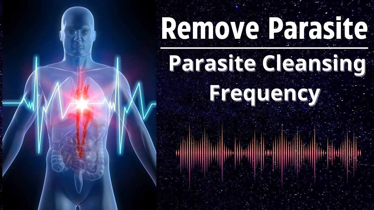 Powerful Rife Frequencies to Eliminate Parasites and Worms | Full Body Purification