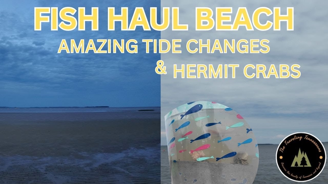 Hilton Head Day 7 | Fish Haul Beach High Tide + Dinner at The Crazy Crab 🦀