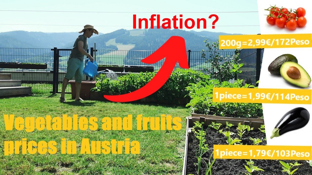 Vegetables and fruits prices in Austria #inflation #inflation2022 #growyourownfood