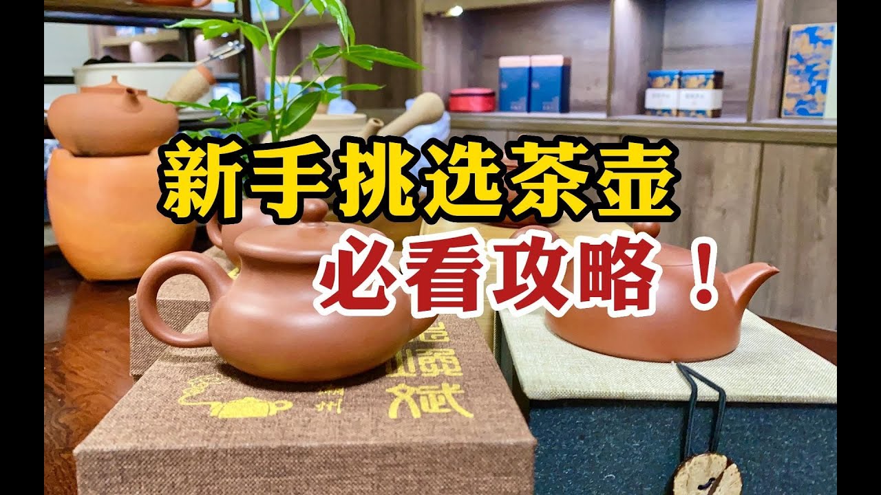 新手挑选&ldquo;茶壶&rdquo;必看！谨记3点防入坑，都是血和泪的经验教训！ #tea #tealovers #teatime  #greentea #茶 #茶爱好者 #喝茶时间 #绿茶