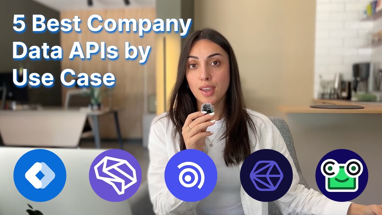 Which Company Data API Fits Your Workflow? 5 Best Provider Picks by Use Case