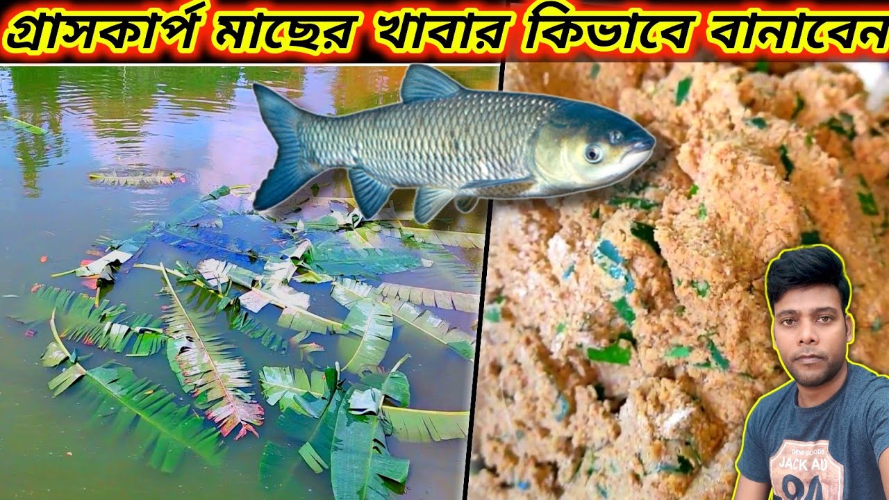 গ্রাস কার্প মাছের জন্য খাবার কি করে তৈরি করবেন how to making grass carp fish feed #fishfood