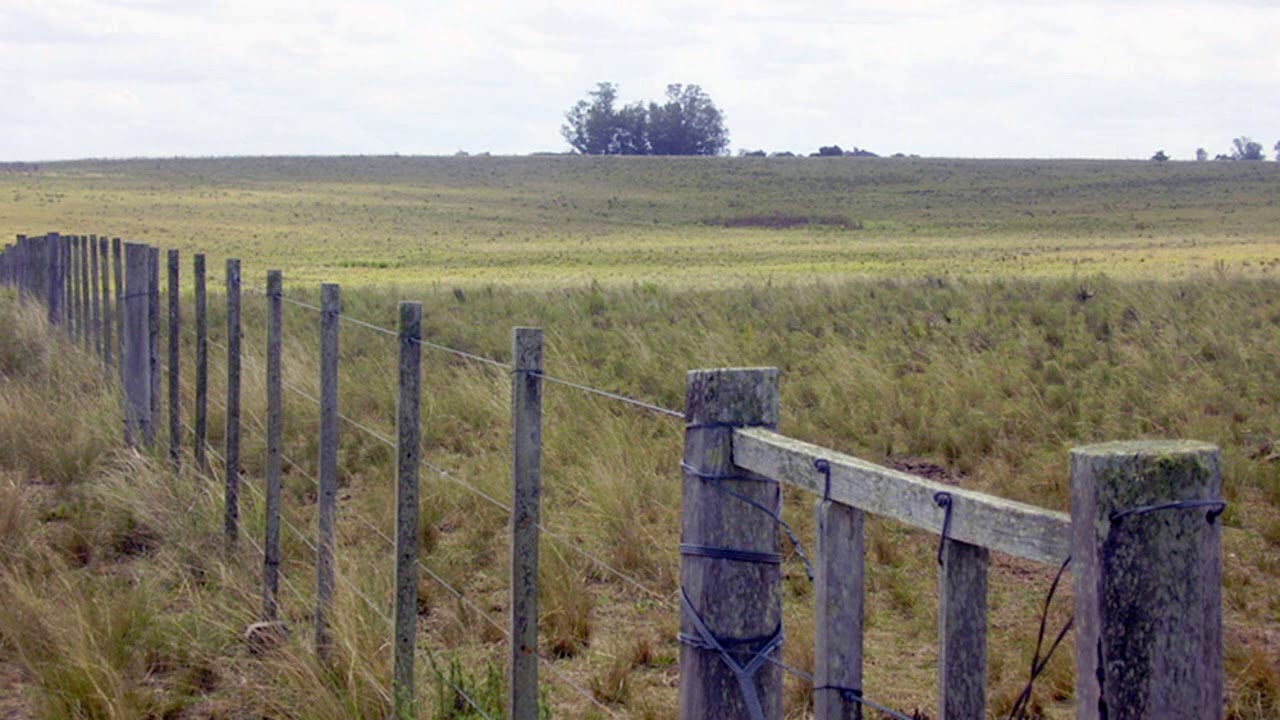 chamame Changuito Medina - Los grandes éxitos